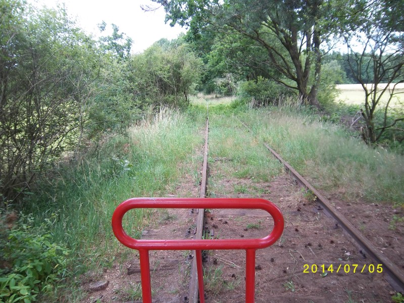ZWNEGI11